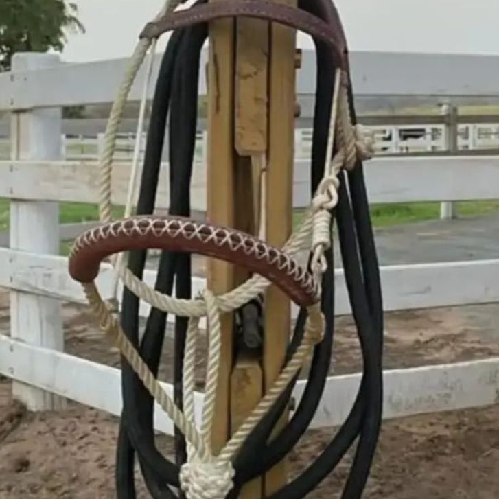 Detalhe do cabresto Bonança